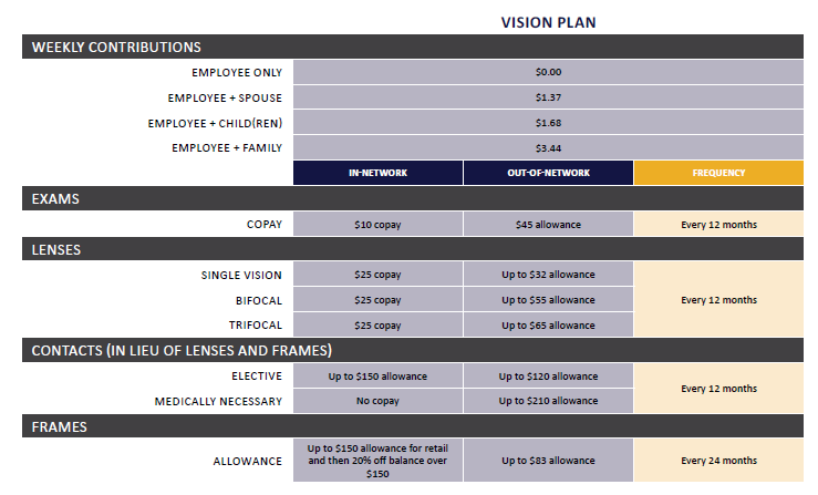 vision plan